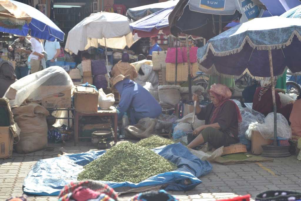 Un día en Marrakech