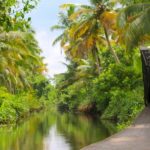 backwaters kerala